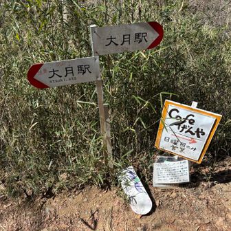 カフェに寄りたい人は右へ