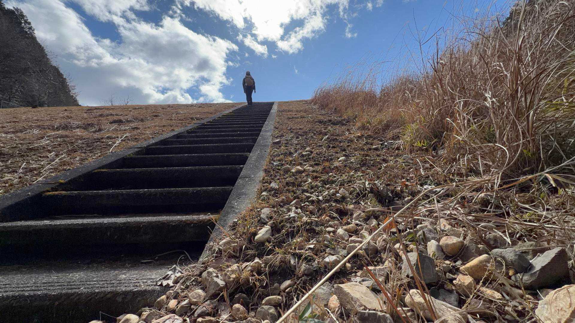 八ヶ岳っぼい湿りの森🌳を抜けて大洞池へ