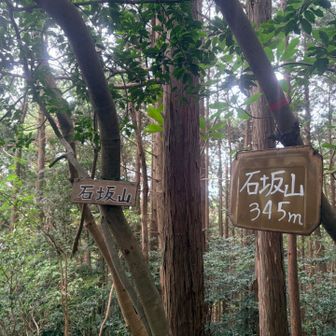 無事登頂。