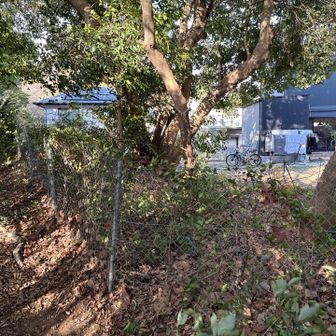 一歩踏み出せば下界。
人家のすぐ後ろを通ります。