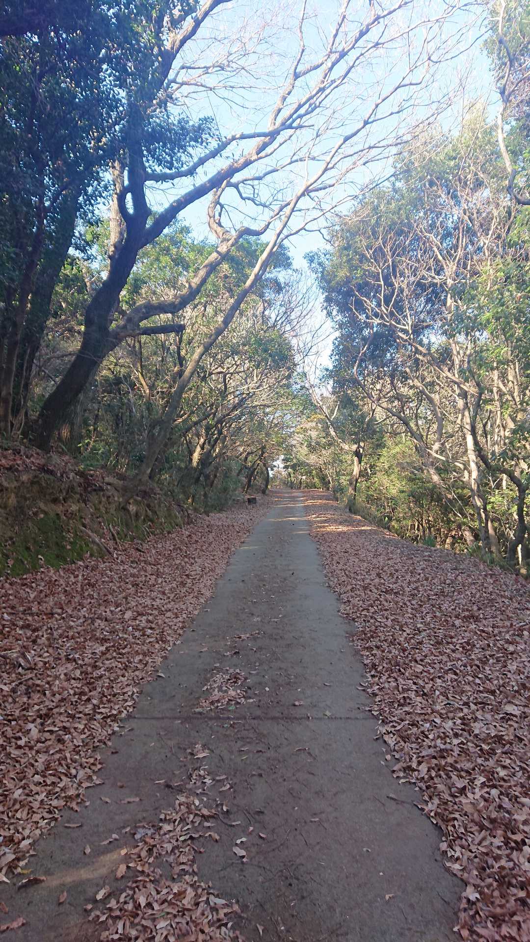 紅葉の時期だと、綺麗だろうな〰️🙂