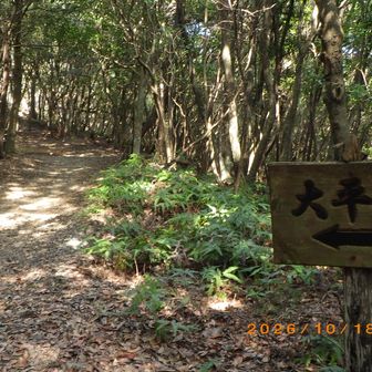 快適登山です。