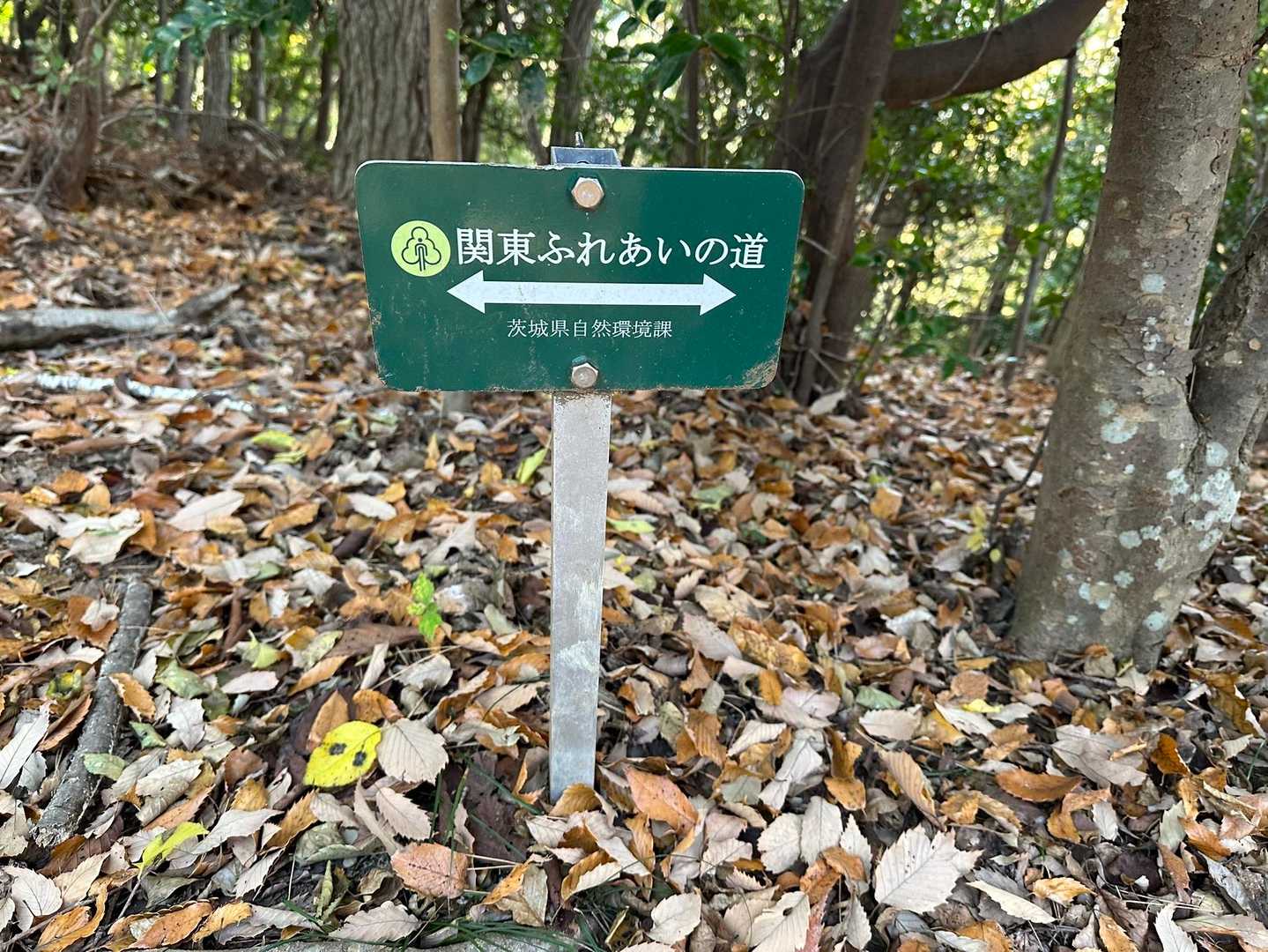 この看板ちょいちょい見かける。
