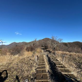 山頂が見えた！