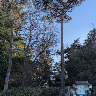 両膝の痛みを抱えながら駐車場にたどり着きました🅿️