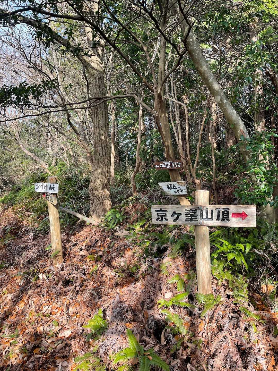看板多くて逆に迷ってます😂