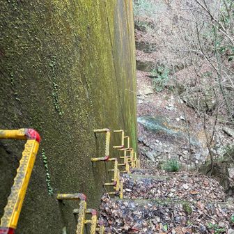 六甲山・長峰山・摩耶山 こんな感じ