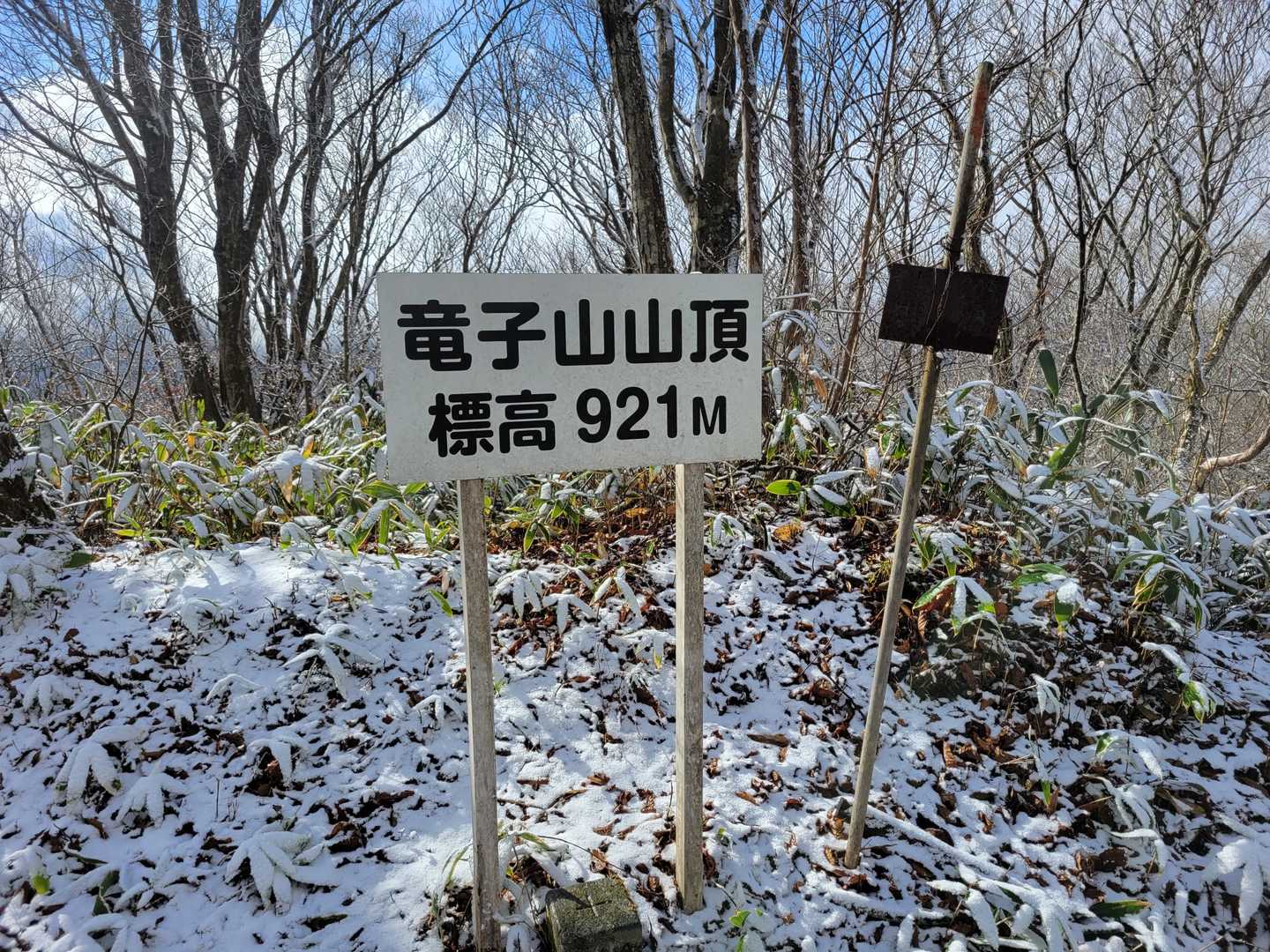 竜子山の写真