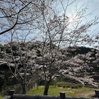 桜に始まり、桜に終わった🌸本日の山カツでした⛰️
🍡は次の機会まで、お預けです🥲
(もう3回ハズレてます…)