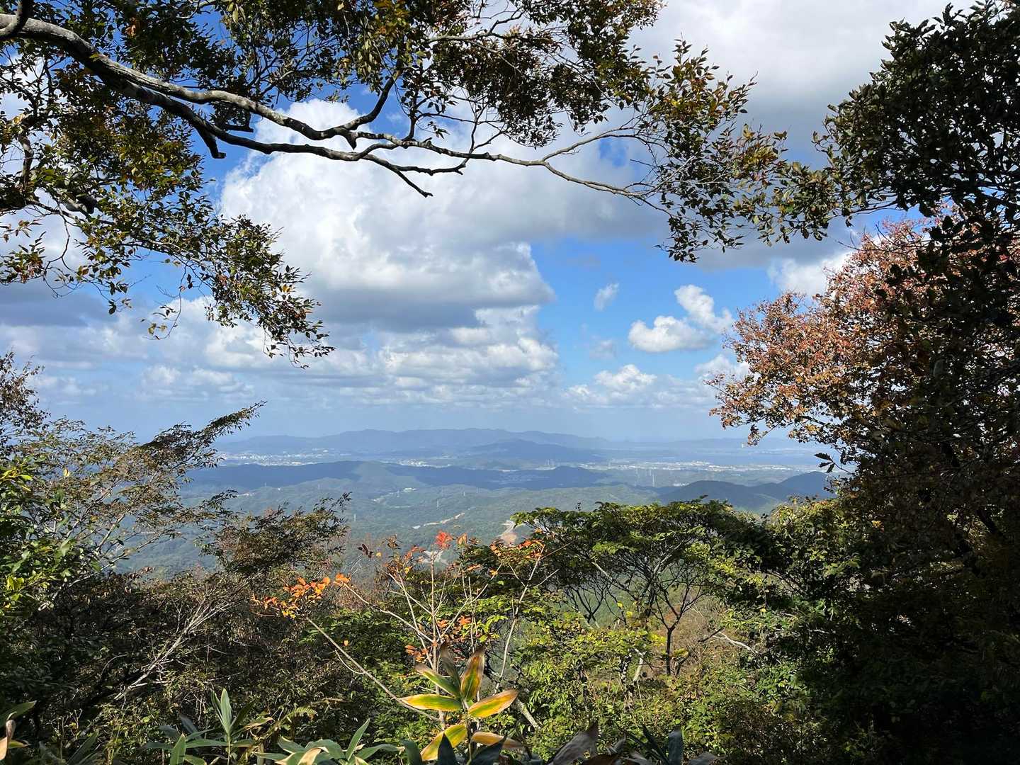 山頂に着きました♪
山頂だけ景色が開けるのはさっきの鎌倉山と同じですね🏔️