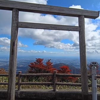 鳥居から見る海がめでたい感じ