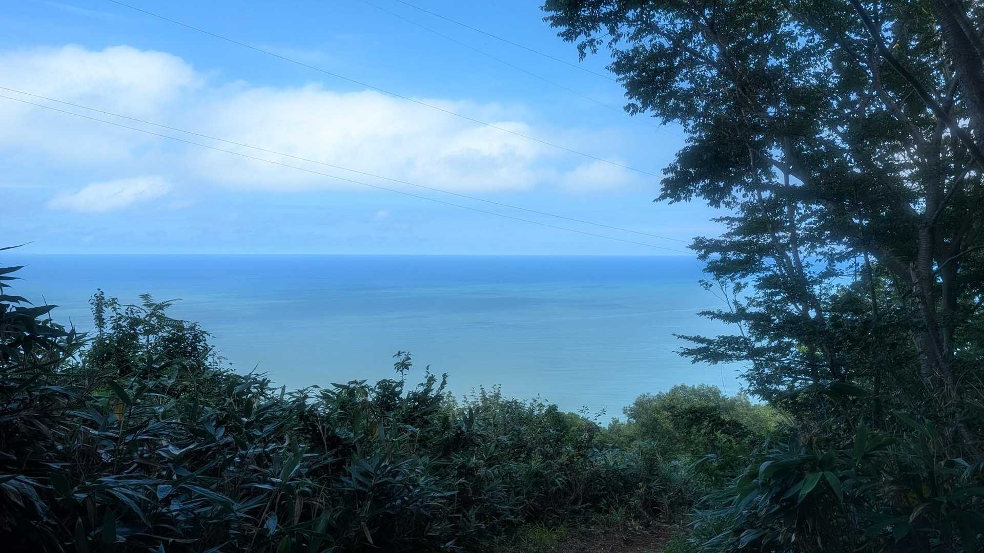 黄連山-菊石山-下駒ヶ岳-白鳥山-金時の頭-坂田峠-尻高山 縦走コースの写真