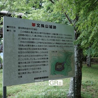 展望台あり。