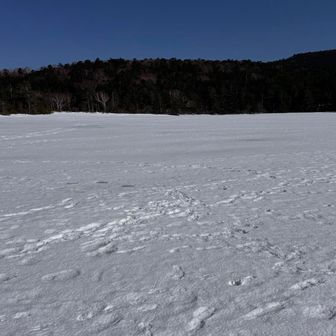 ゲレンデみたい！
広ーーーーい✨✨✨✨
遠くにサッカーをしてる人がいる🤩