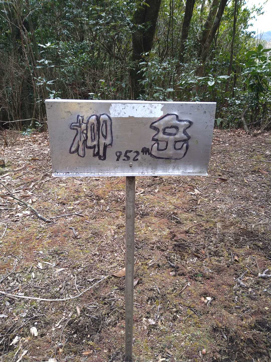 柳岳の写真