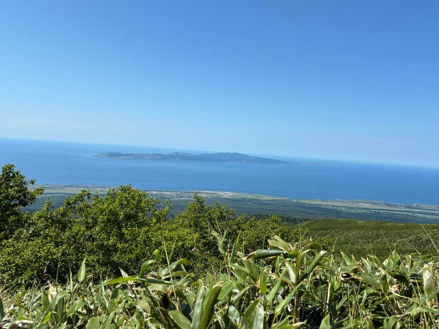 　　　　振り返ると。。礼文島🏝️
