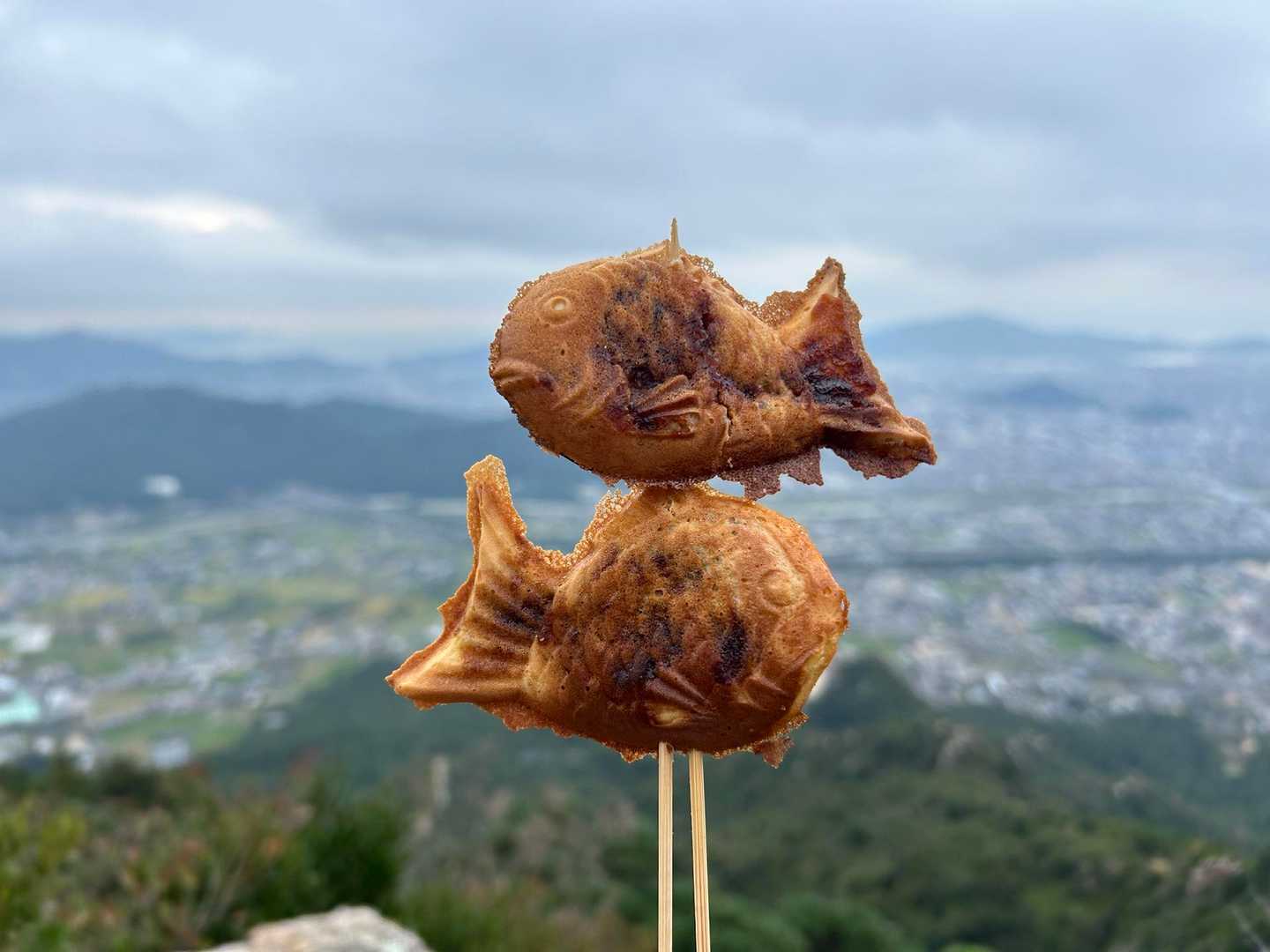 耳を取ったら奥の2つは何とか大丈夫でした