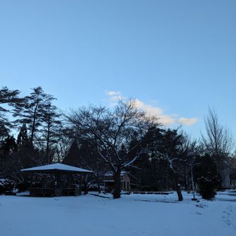 到着、さぁ仕事いこ