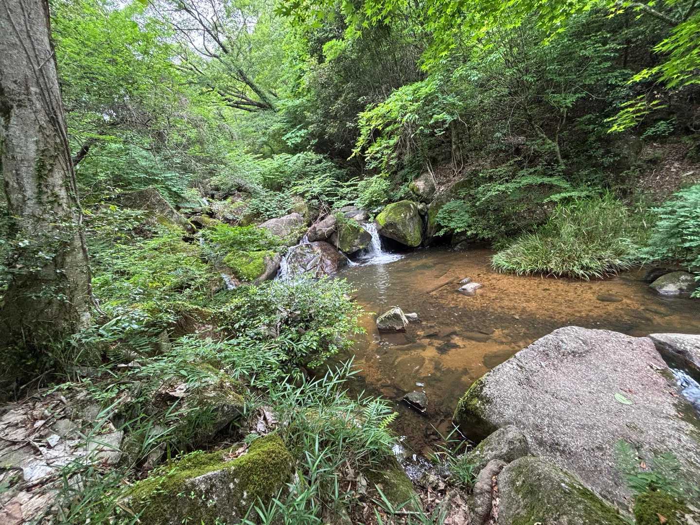水晶山登山口-水晶山 往復コースの写真