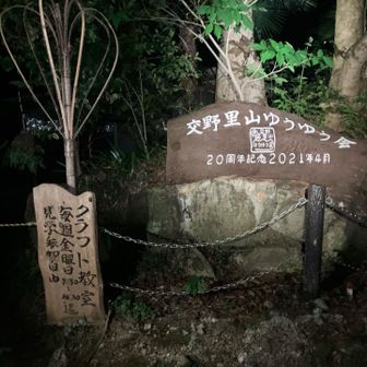 地元の方が楽しんでる感じ🎶