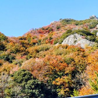 猪谷バス停に戻る