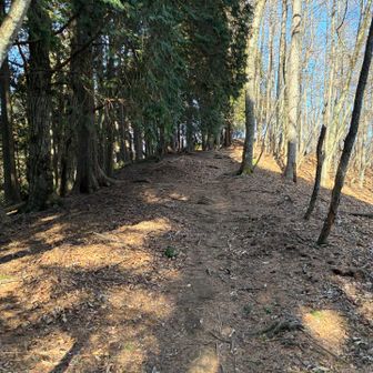 そのまま瘤高山へ