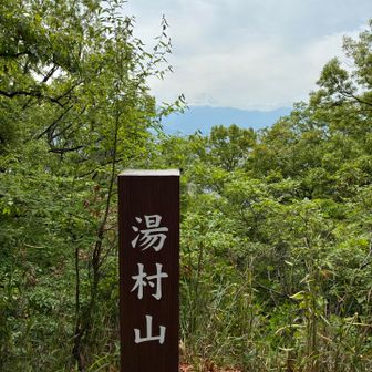 若葉が増えたねー