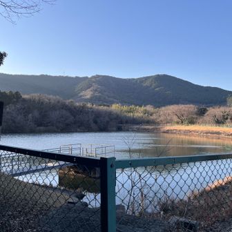 よくわからない池。カメを探すも見当たらず
🐢