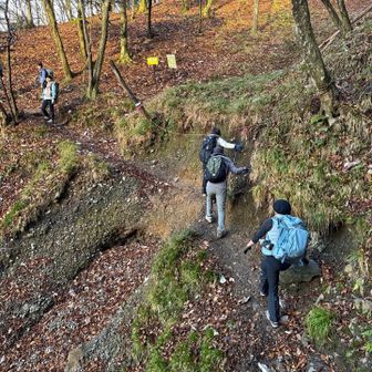 崩落したような登山道もあり