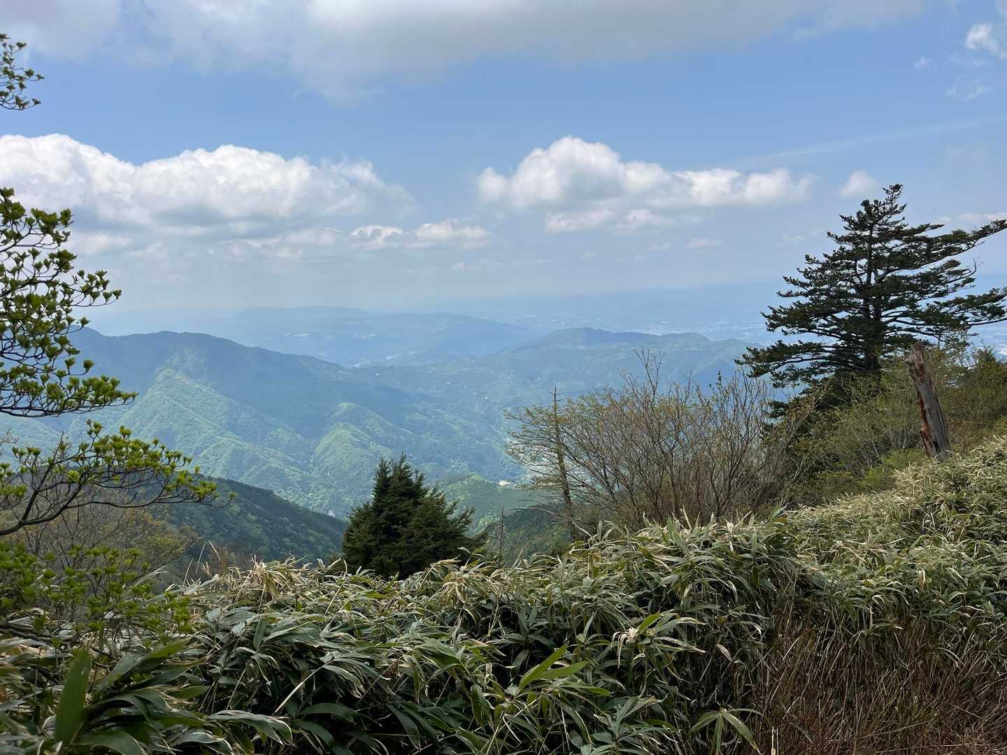 開けて来て、やっと景色が見えました☺️