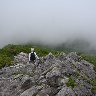 スイスイ降って行った。

私は落石しないように、間隔を空けてから降る。