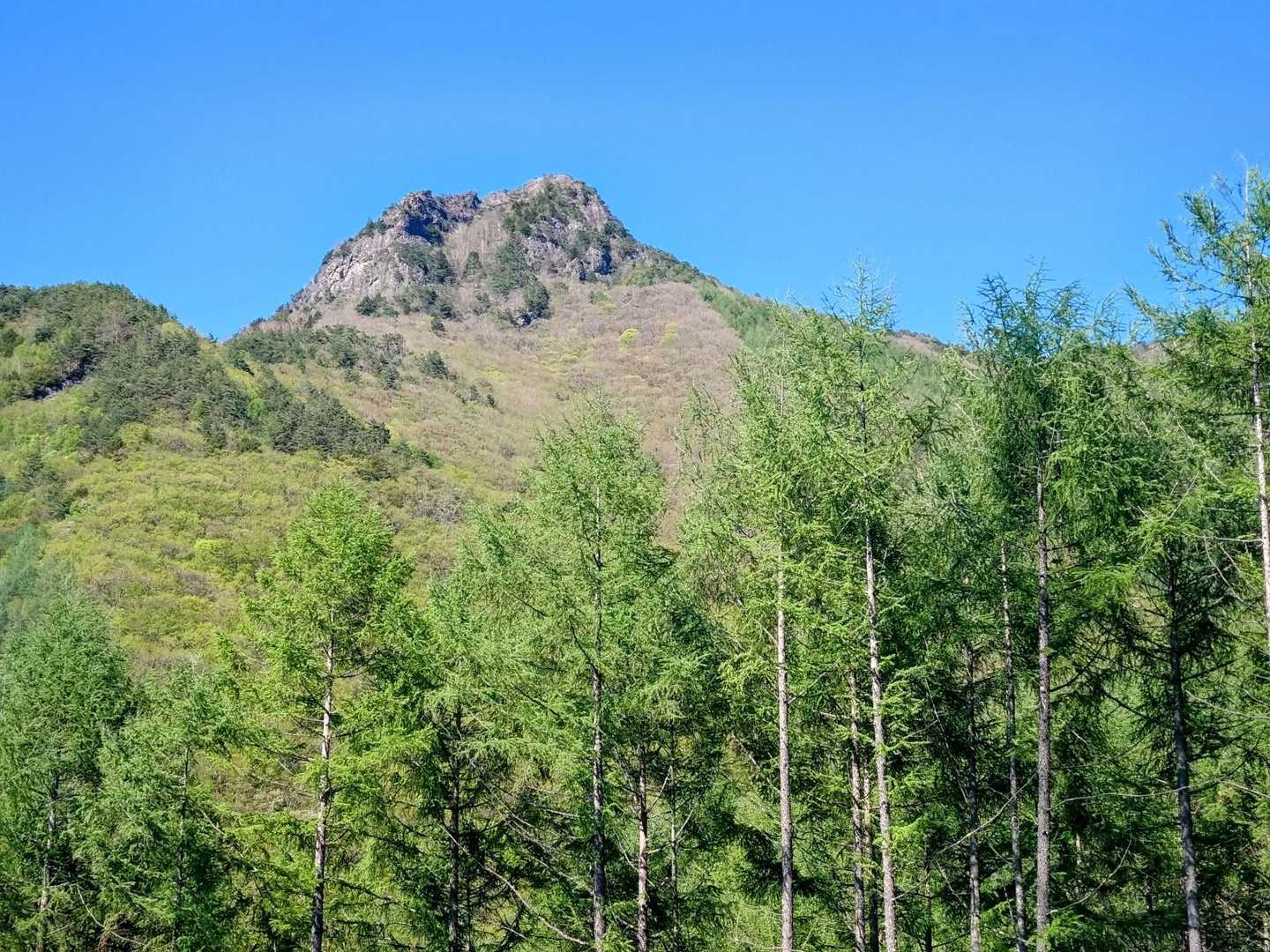 下山途中、あの崖にいたと思うと嬉しい😆