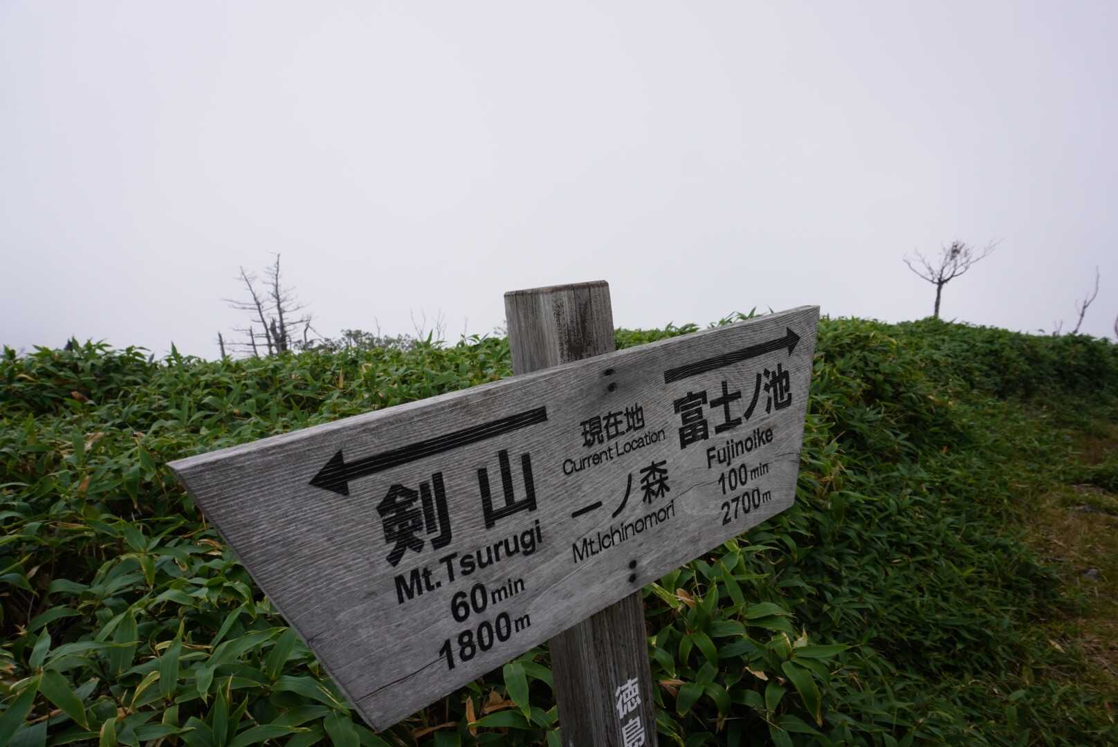 帰りましょう！
またまた、まっちろになってきたぞ？
下山は薄暗くまっちろ😣
剣山やめておいて正解です