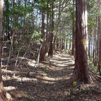 地図も無く歩くのも良いものです
