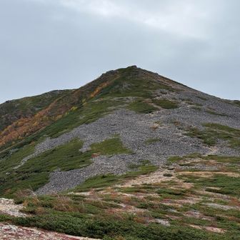 標高差400メートルの常念岳へ。
見えてるところはピークじゃありません😆