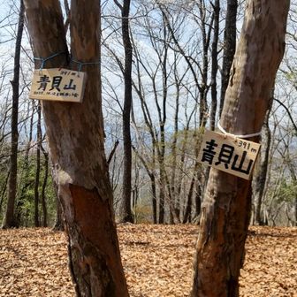 青貝山山頂 391m