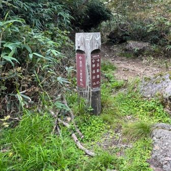 戻ってきました