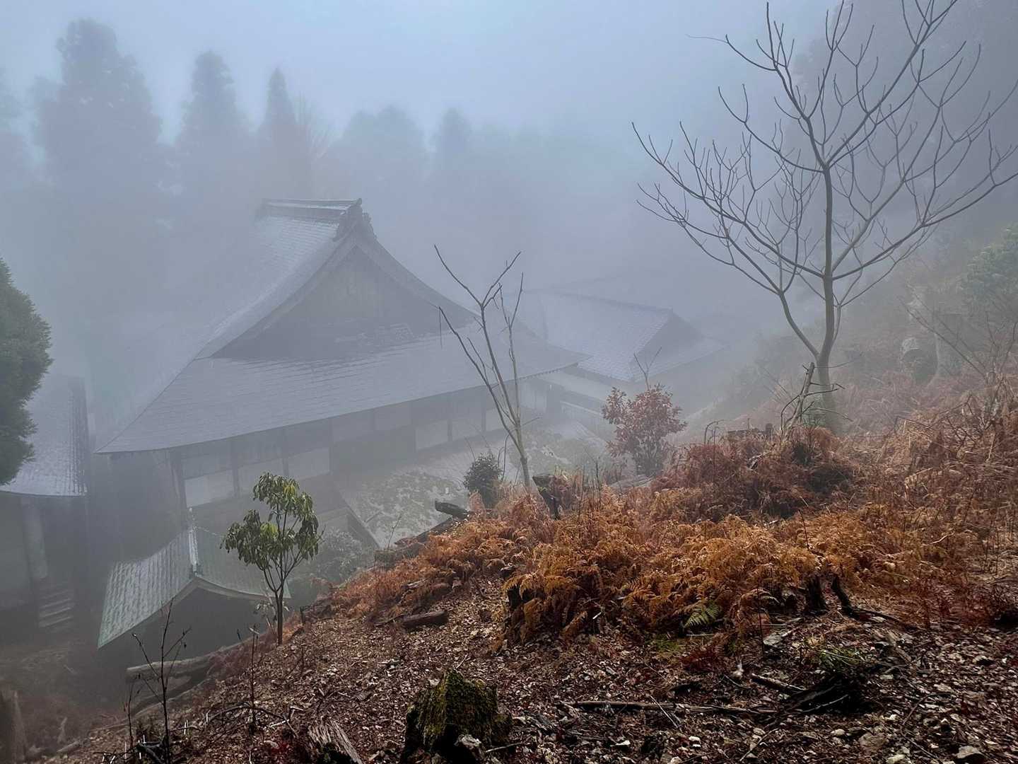 やっと、建物が見えてきました👀