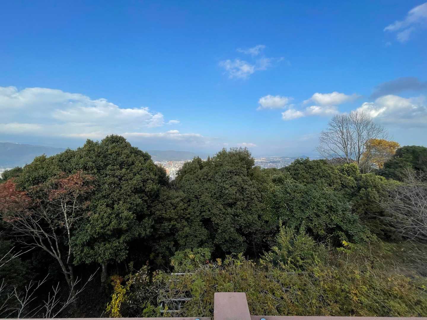 皿ヶ峰-鷲尾山-烏帽子山-白土峠-柏尾山 往復コースの写真
