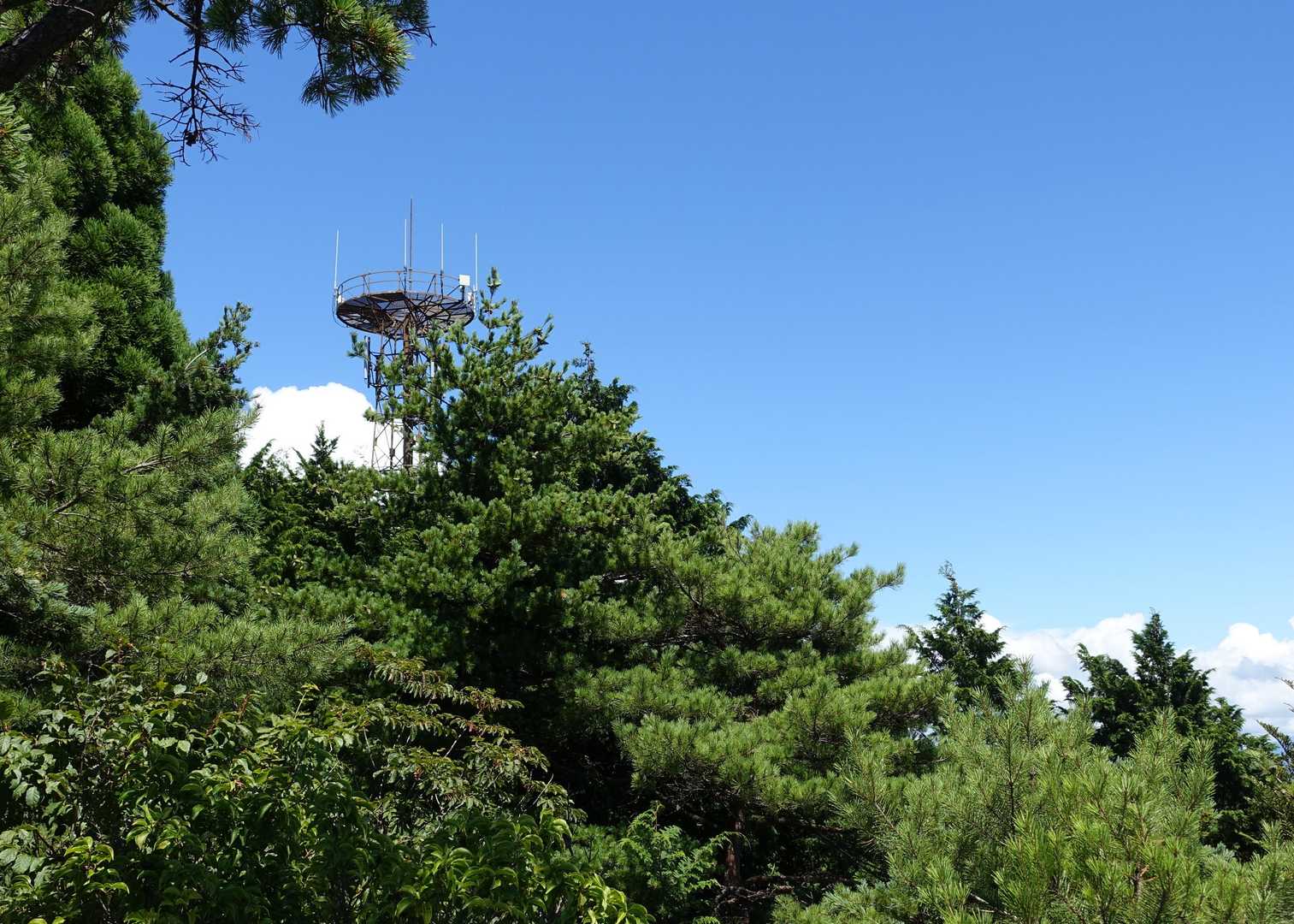 直上の空は夏色。