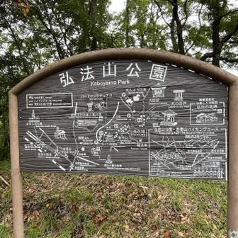 案内