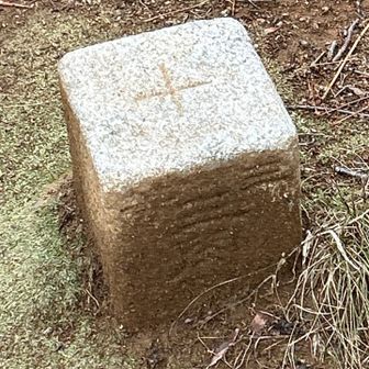 点名 柏三等三角点