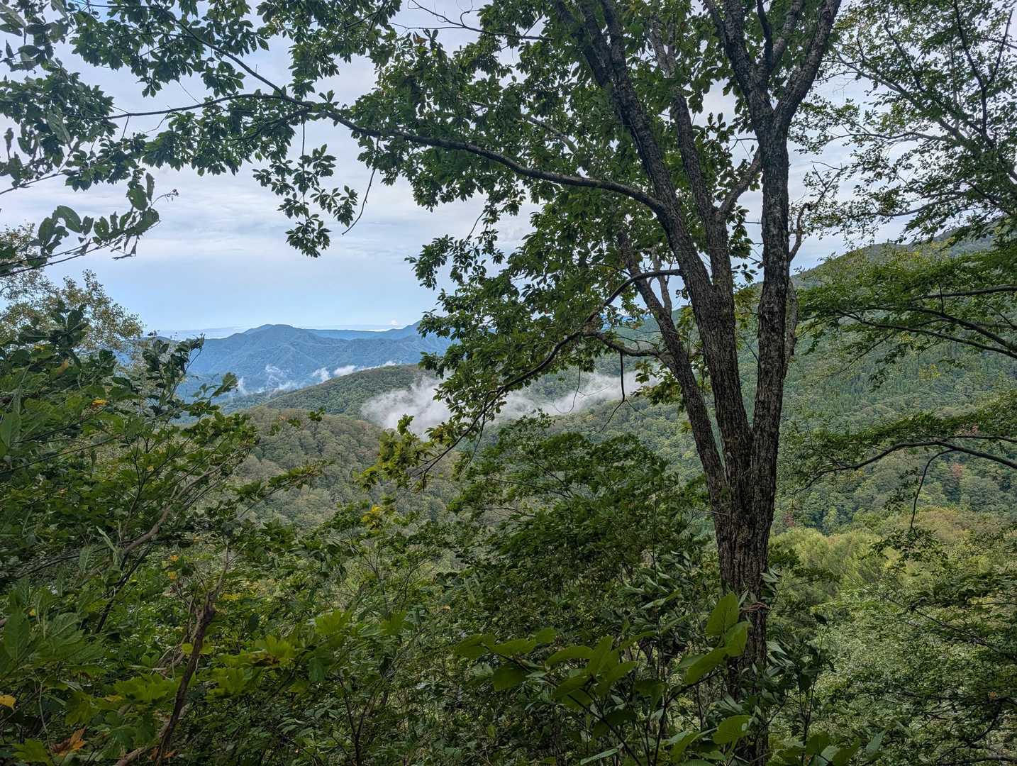 お山の遠望があると山歩が捗る