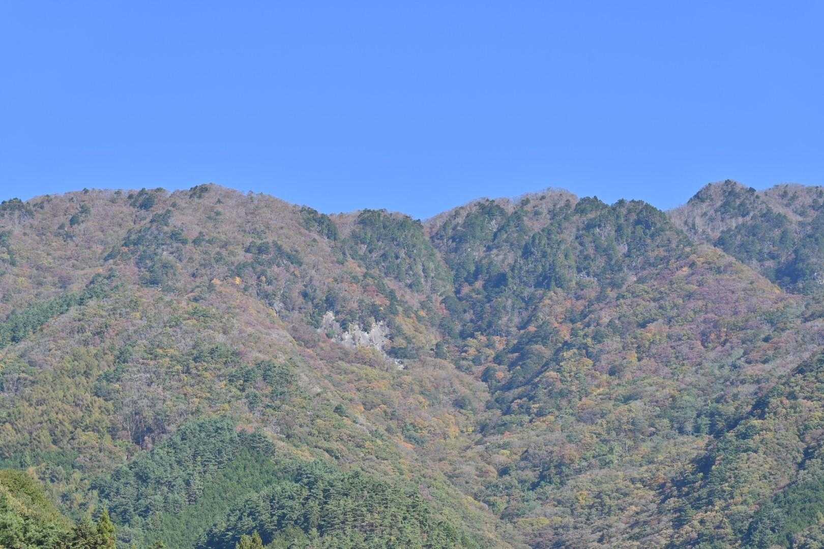 お天気よろし