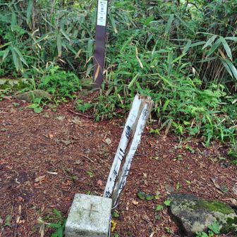 山頂三角点