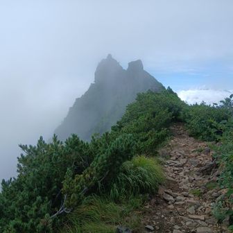 権現岳すぐ手前の分岐から権現岳　ガスってるしとりあえず先を急ぐ