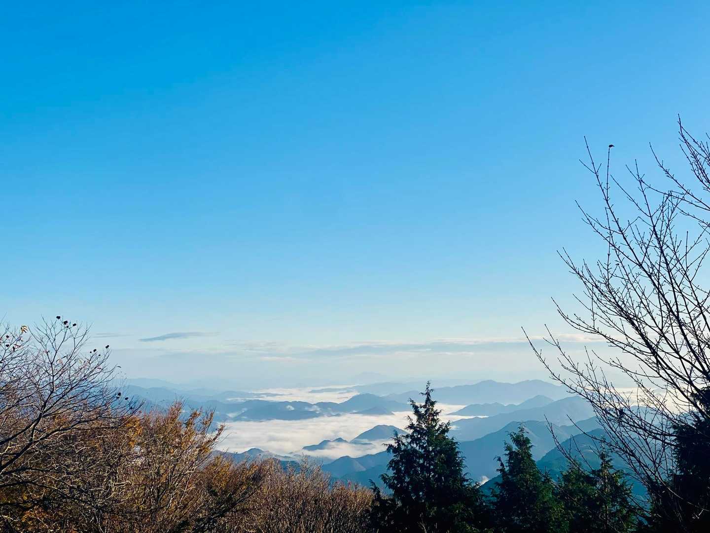 綺麗