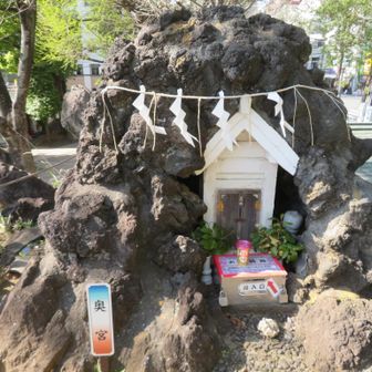 山頂に到着です