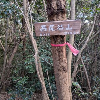 西尾谷山の山頂に到着しました。
眺望はありません。