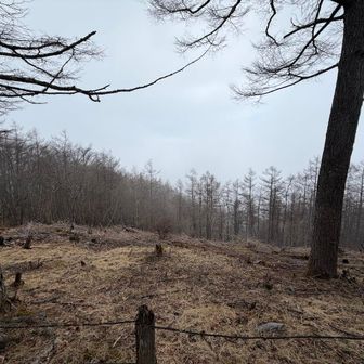 貸切の山頂から見る景色、何も見えん！